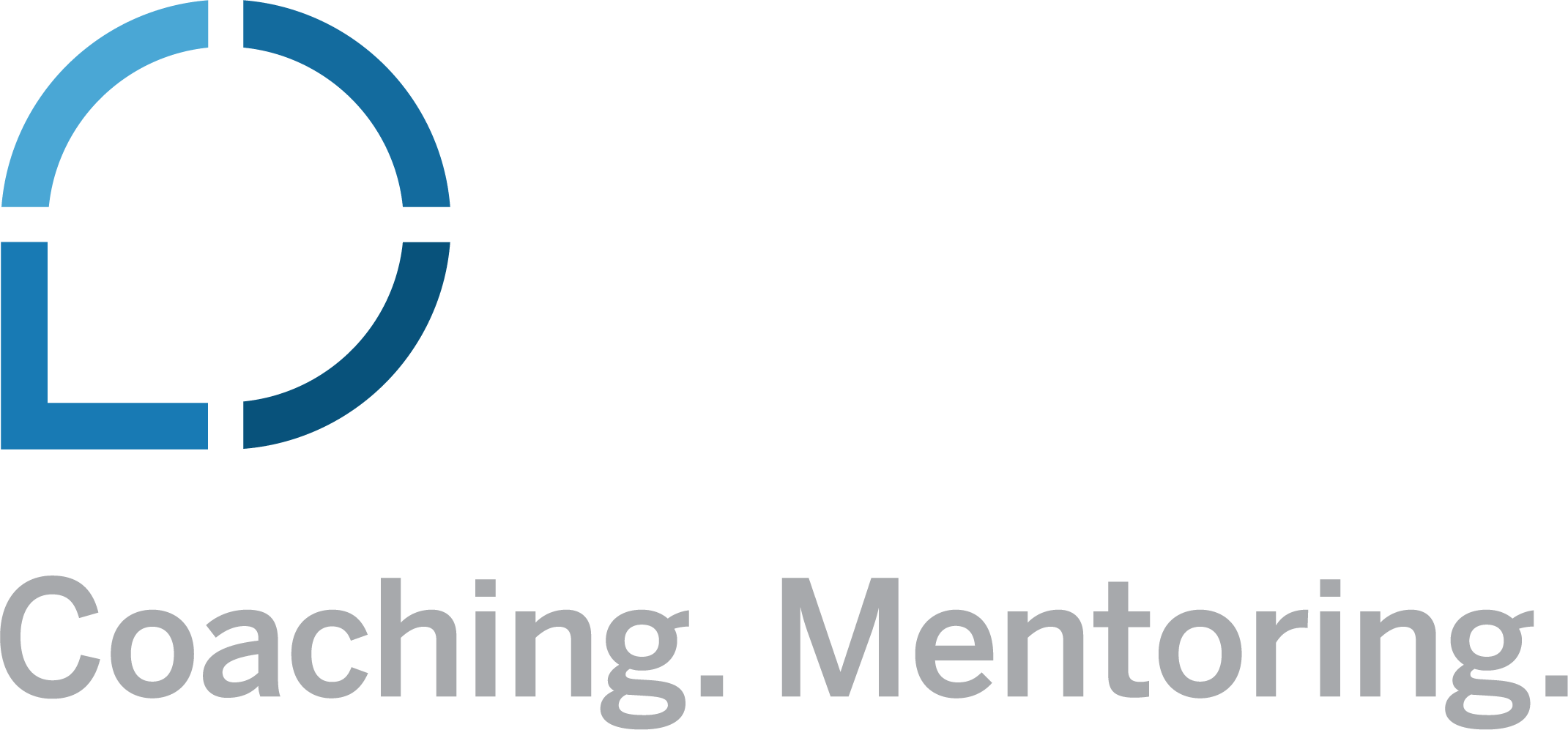 Converse Elevate